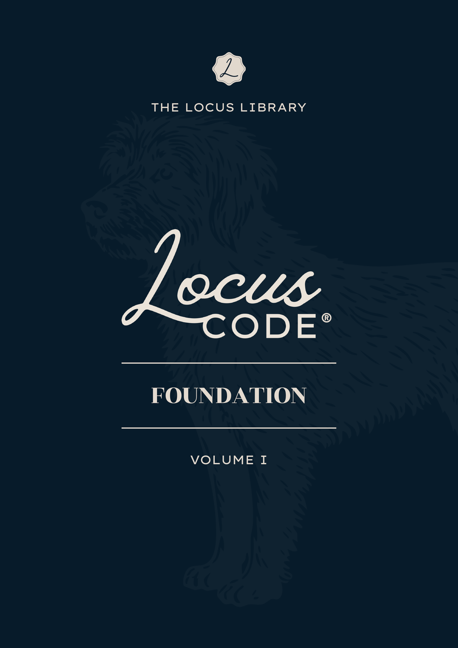 Locus CODE, Foundation, Volume One by Alisa Groen, the jacket as printed today