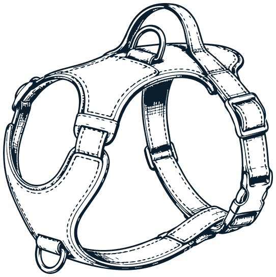 A padded dog harness