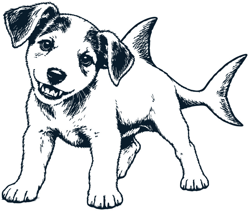 A puppy drawn with a shark fin and tail, mouth open