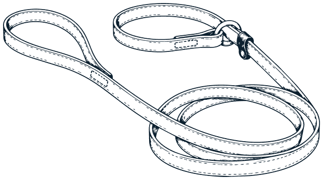 A leather slip lead: a hand loop at one end, a sliding loop through a ring at the other