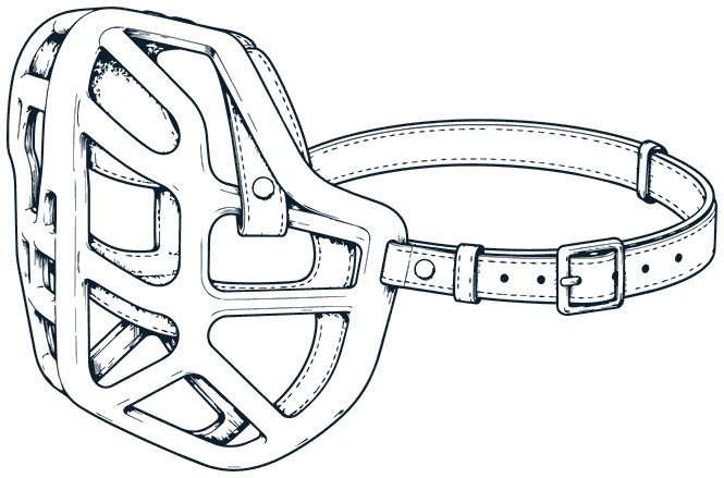 A basket muzzle with a buckled strap