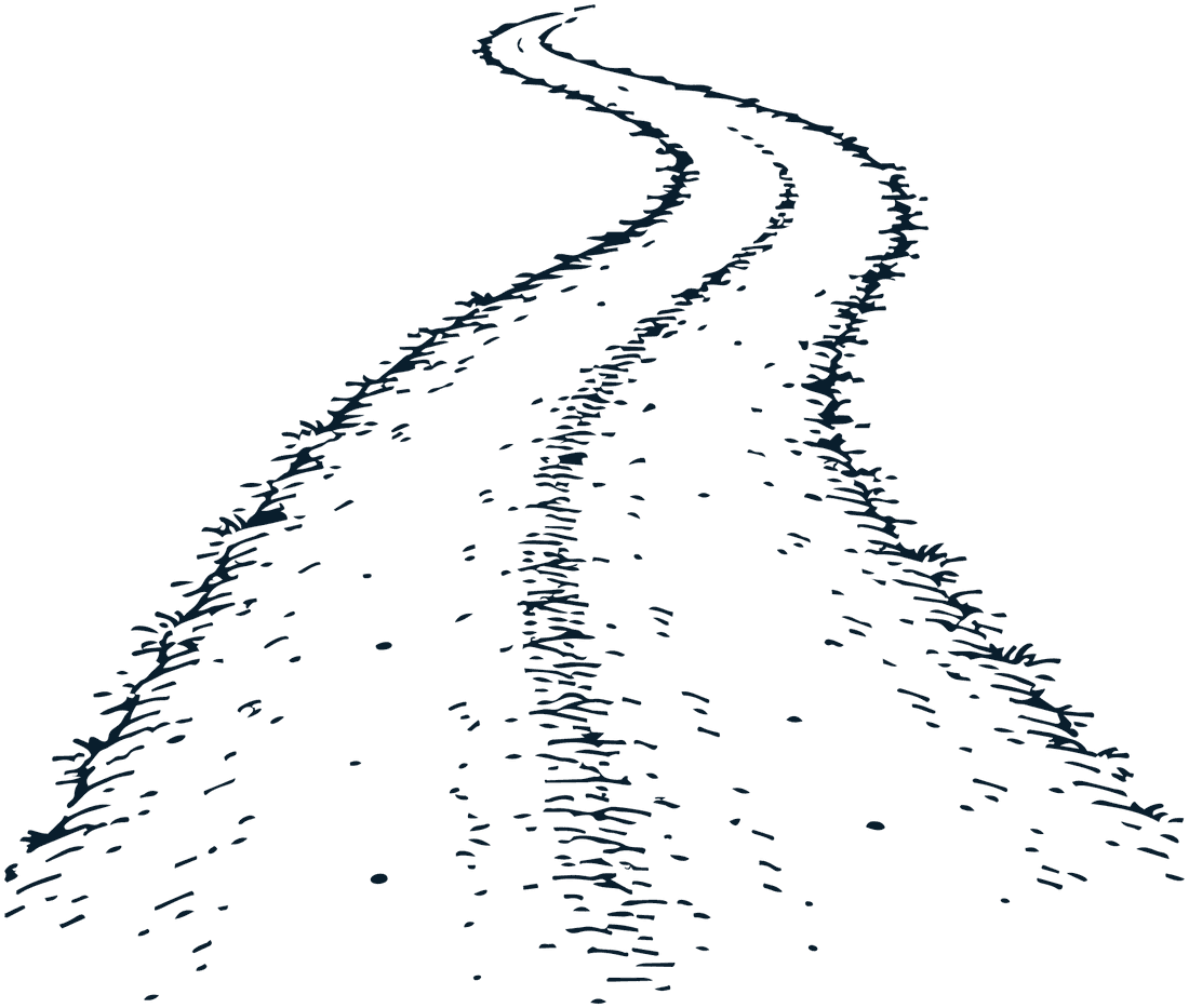 A winding footpath worn into the grass