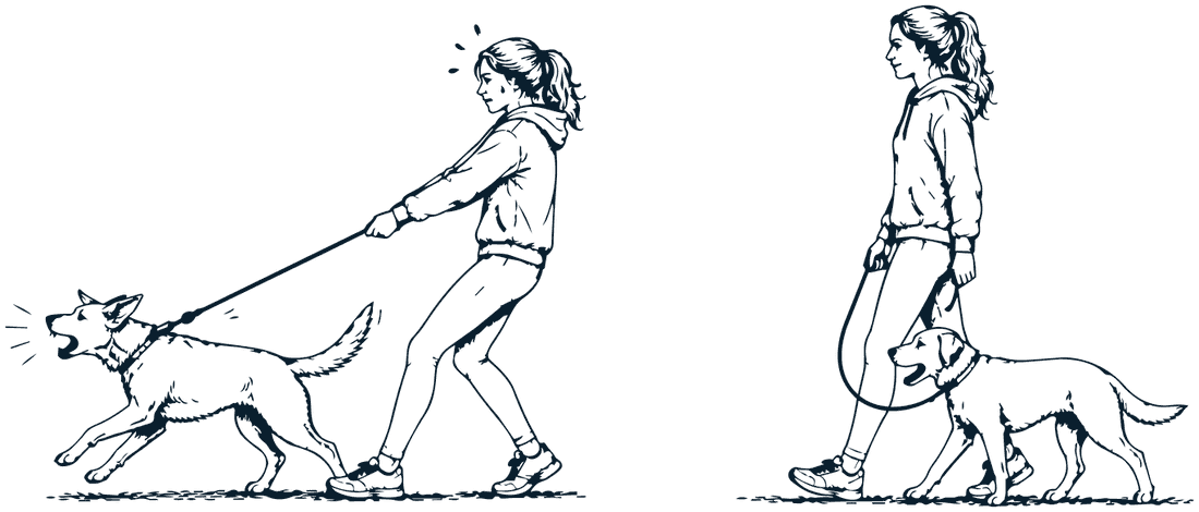 A woman and her dog shown twice: first pulling on a tight lead, then walking together on a loose one