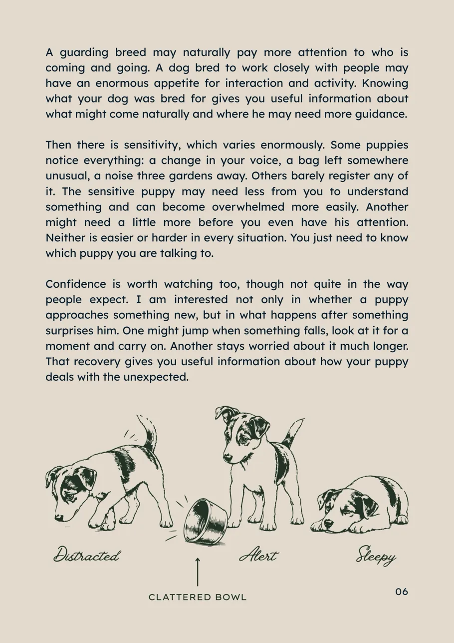 A page from Puppy Guidance on sensitivity and confidence, with drawings of three puppies reacting to a clattered bowl