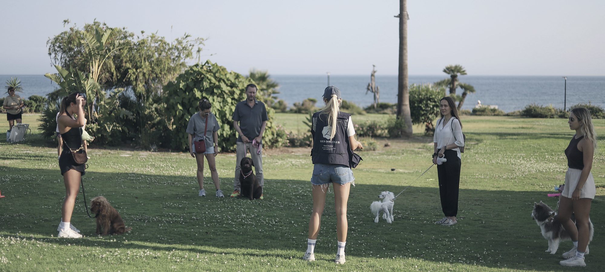A Locus class on the grass by the sea, owners standing well apart, each with a small dog at their feet