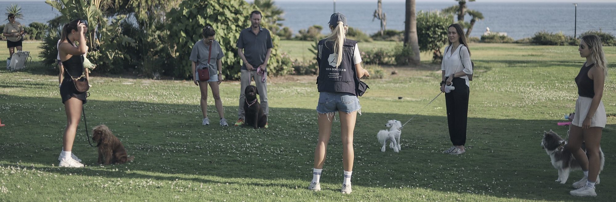 A Locus group session on the grass by the sea, five dogs and their owners spread well apart, Alisa working in the middle