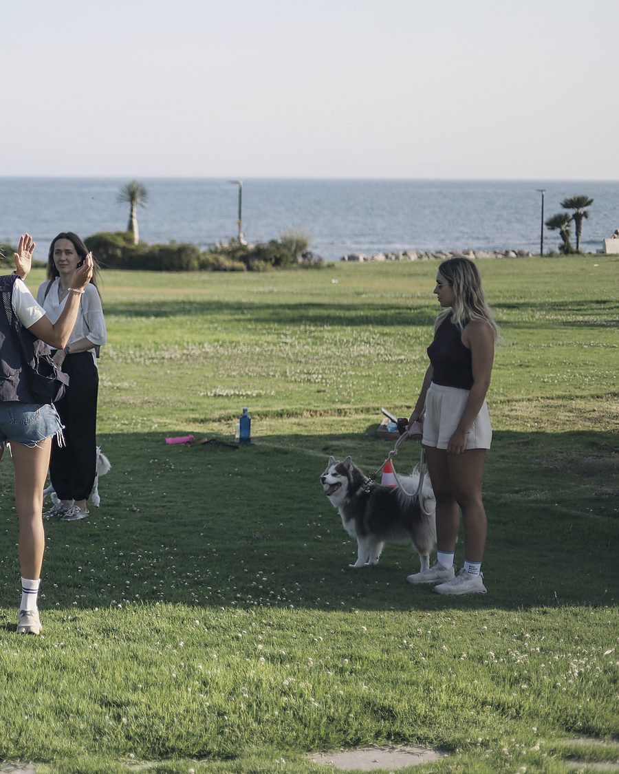 Two owners on the grass at Estepona, each with their dog on a lead and several metres between them, the sea behind