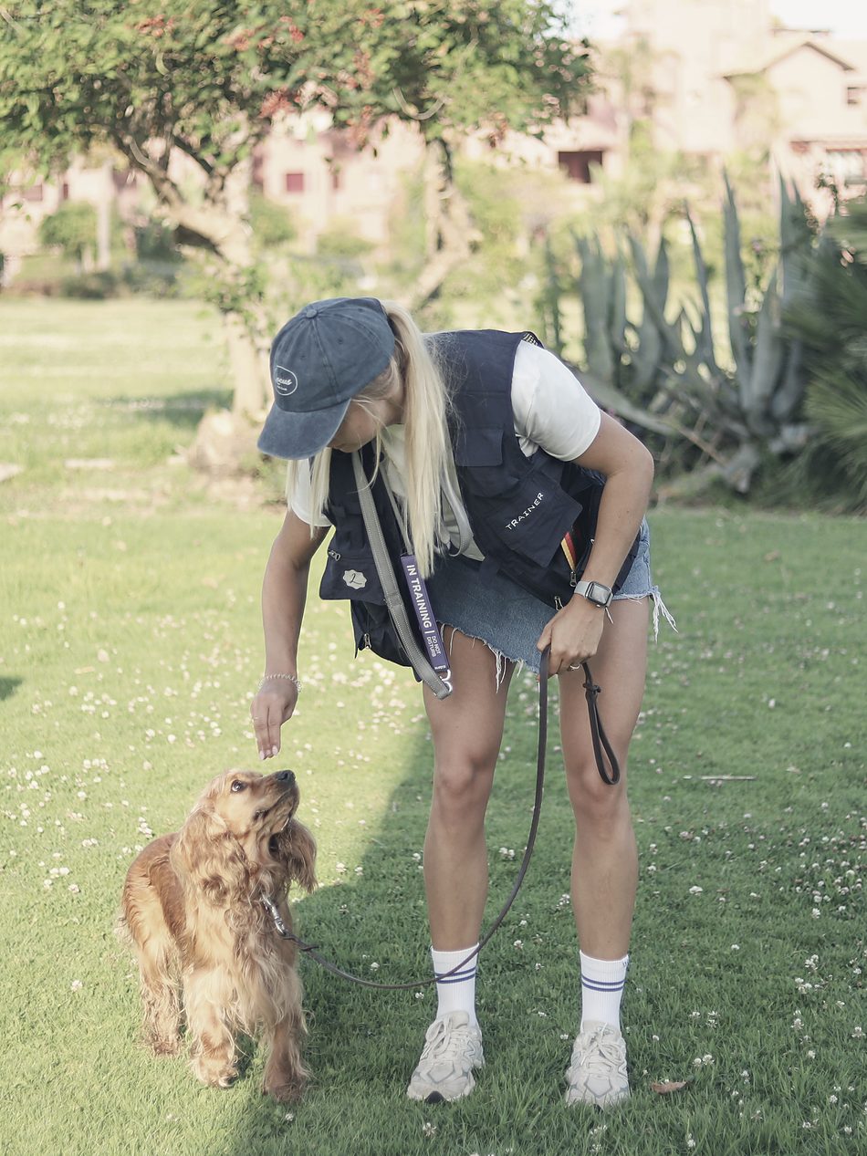 Alisa Groen of Locus Dog Club guiding a spaniel on the grass