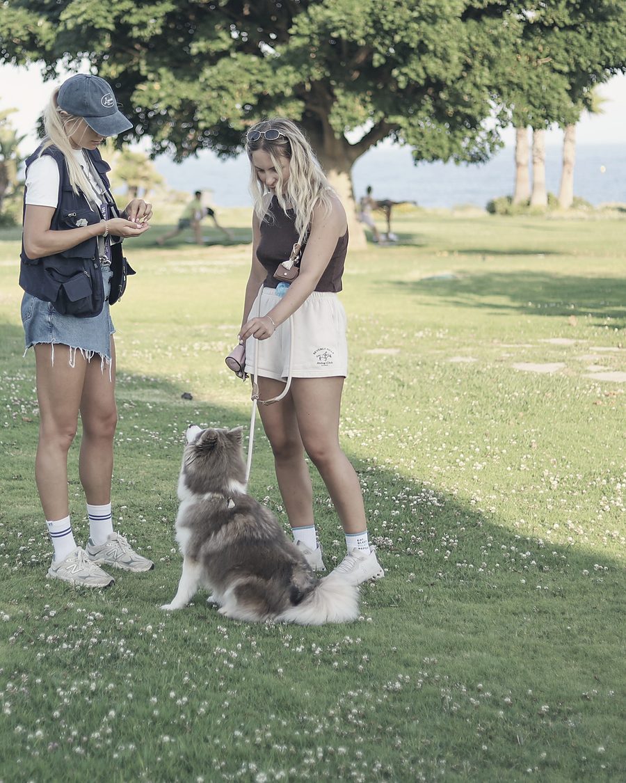 Alisa showing an owner how to hold a treat while their young dog sits at their feet on a loose lead